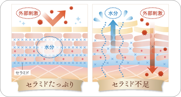 しろ彩,口コミ